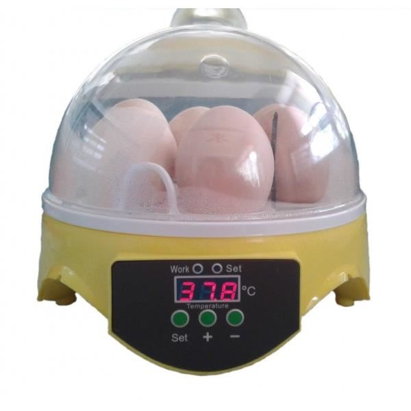 Couveuse Automatique Incubateur D'oeufs à Retournement Automatique - 1500 - GQF Manufacturing Company - Canard / Oie / Dinde Couveuse Oeuf De Caille